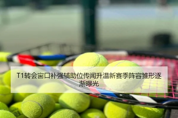 T1转会窗口补强辅助位传闻升温新赛季阵容雏形逐渐曝光